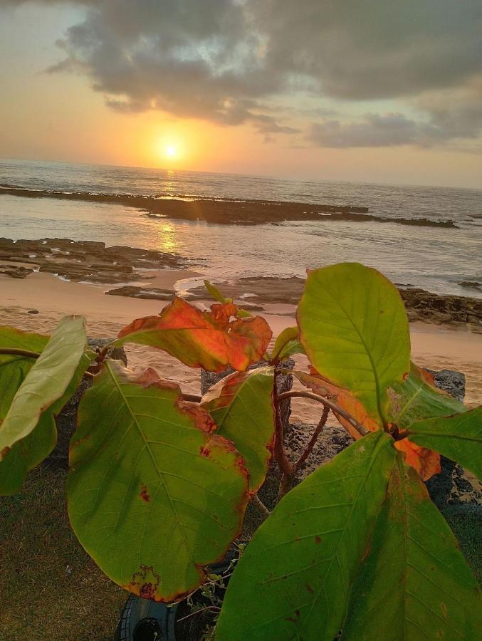 Pousada Tropicalia Tranquilidade A Beira Mar Santa Cruz Cabralia Bagian luar foto